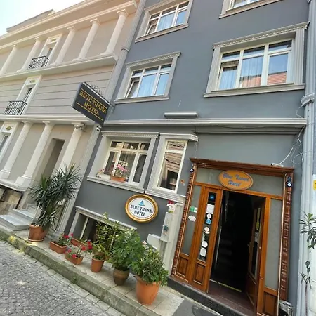 Blue Tuana Old Istanbul