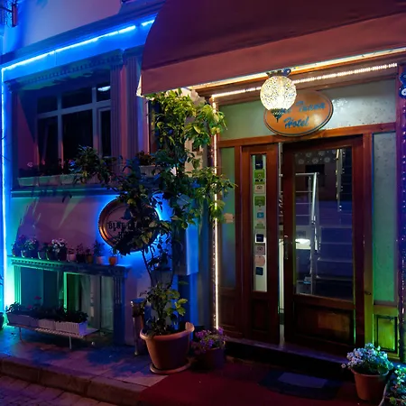 Blue Tuana Old