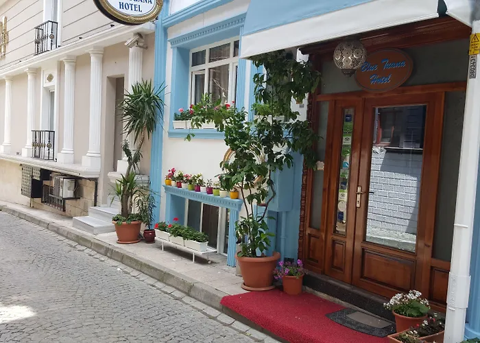Hotel Blue Tuana Old Stambuł